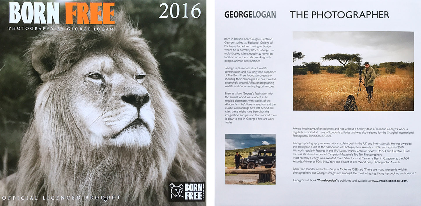 HortonStephens 2016 Born Free Calendar Logan