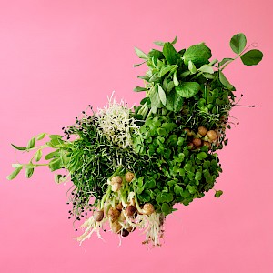 Graphic foody images ofwholefood in London captured by Chelsea Bloxsome with Horton-Stephens. Floating food.